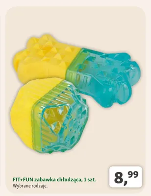 Zabawka chłodząca dla psa FIT+FUN promocja w MAXI ZOO