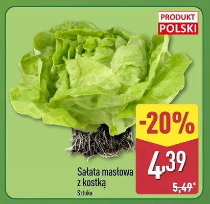 Sałata masłowa z kostką promocja w Aldi