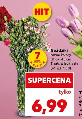 Goździki dł. ok. 45cm promocja w Kaufland
