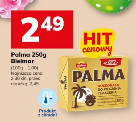 Palma promocja w Hitpol