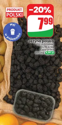 Jeżyna polska promocja w Dino