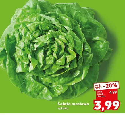 Sałata masłowa promocja w Kaufland