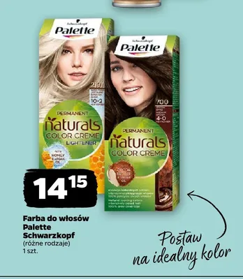 Farba do włosów Palette Schwarzkopf Permanent Naturals 219 Super Popielaty Blond promocja w Netto