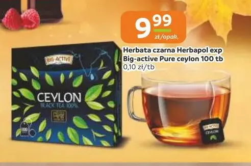 Herbata czarna ekspresowa Herbapol Big-Active Pure Ceylon promocja w Gama