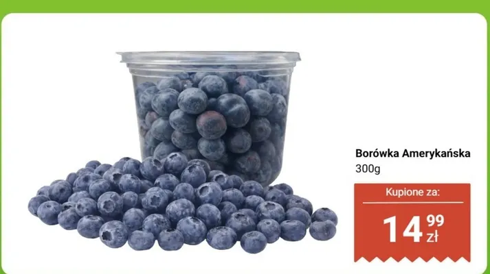 Borówka amerykańska 300 g promocja w Dino