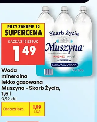 Woda mineralna lekko gazowana Muszyna - Skarb Życia promocja w Biedronka