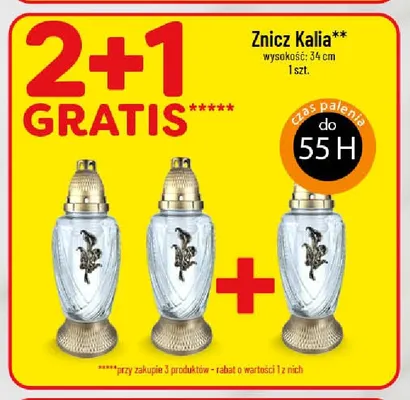 Znicz Kalia 34 cm promocja w POLOmarket