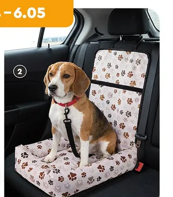 Akcesoria dla zwierząt - fotelik samochodowy promocja w Biedronka