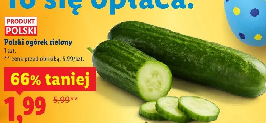 Ogórek zielony polski promocja w Lidl