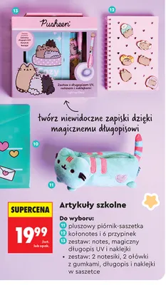 Pluszowy piórnik-saszetka Pusheen promocja w Biedronka