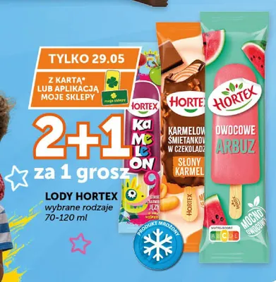 Lody Hortex promocja w ABC