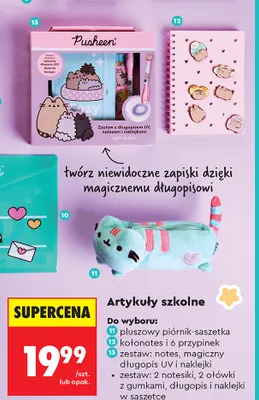 Zestaw 2 notesiki, 2 ołówki z gumkami, długopis i naklejki w saszetce Pusheen promocja w Biedronka