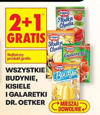 Wszystkie budynie, kisiele i galaretki 2+1 GRATIS promocja w Biedronka