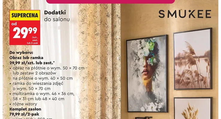 Zestaw 2 obrazów na płótnie SMUKEE wym. 40x50cm promocja w Biedronka