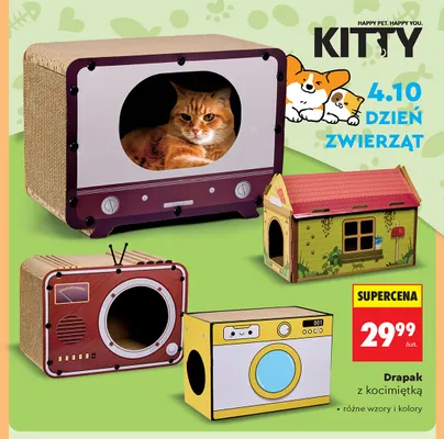 Drapak z kocimiętką Kitty promocja w Biedronka