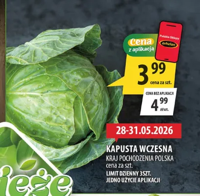 Kapusta wczesna polska promocja w Arhelan