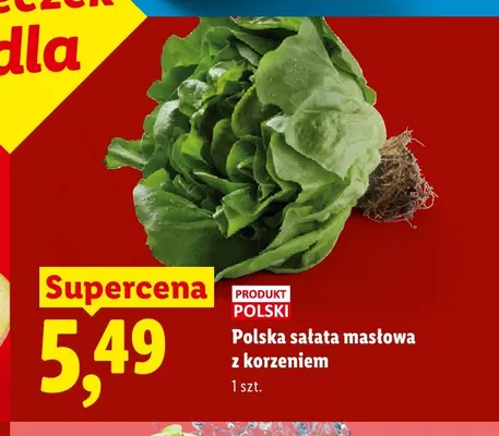 Sałata masłowa polska z korzeniem promocja w Lidl