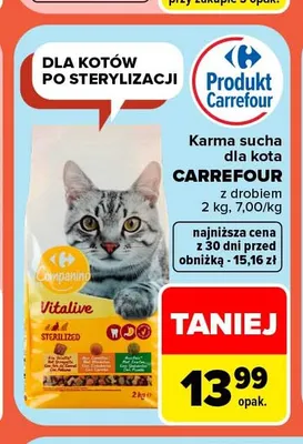 Karma sucha dla kota Companino Vitalive promocja w Carrefour