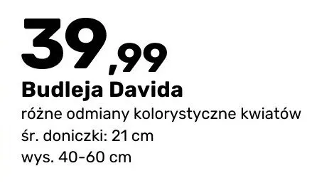 Katalog ogród, strona 51 promocja w Bricomarche
