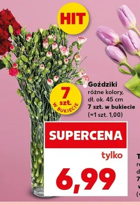 Goździki dł. ok. 45cm 7szt. w bukiecie promocja w Kaufland