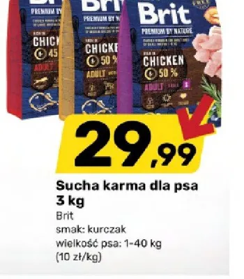 Sucha karma dla psa Brit promocja w Bricomarche