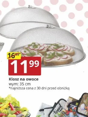 Klosz na owoce promocja w Prymus AGD