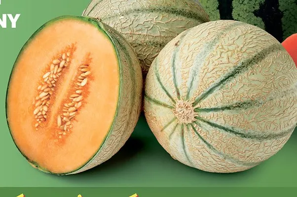 Melon promocja w Biedronka