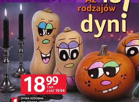 Dynia ozdobna malowana polska promocja w Selgros