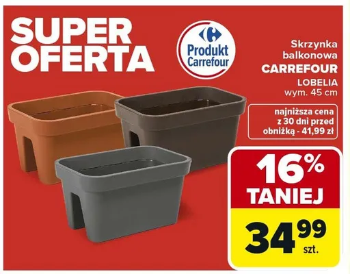 Skrzynka balkonowa Carrefour Lobelia promocja w Carrefour