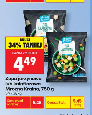 Zupa jarzynowa Mroźna Kraina promocja w Biedronka