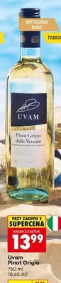 Wino Uvam Pinot Grigio wytrawne białe promocja w Biedronka