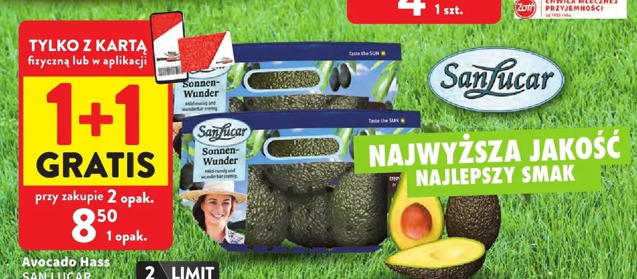 Avocado Hass SanLucar promocja w Intermarche