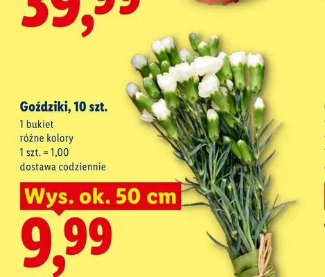 Goździki bukiet promocja w Lidl