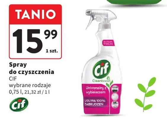 Spray do czyszczenia promocja w Intermarche