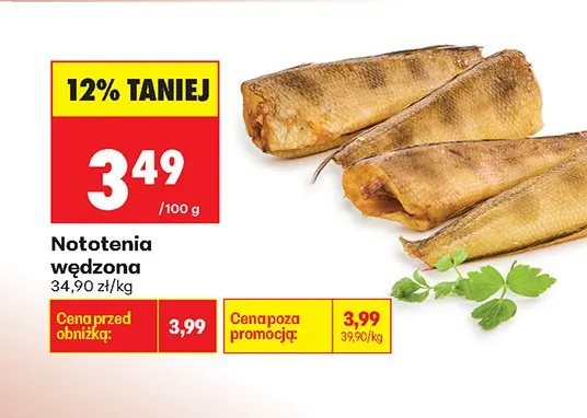 Nototenia wędzona promocja w Biedronka