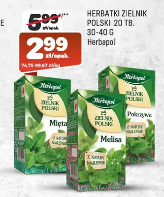 Herbatka Zielnik Polski mięta Herbapol promocja w Społem Praga