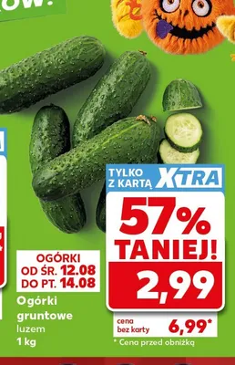 Ogórki gruntowe luzem promocja w Kaufland
