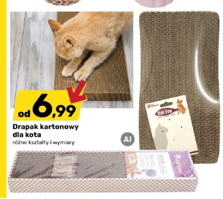Drapak kartonowy dla kota promocja w Bricomarche