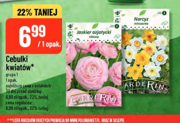 Cebulki kwiatów Jaskier azjatycki różowy Garderin promocja w POLOmarket