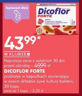 Probiotyk w kapsułkach zawierający w swoim składzie żywe kultury bakterii 20 kaps promocja w Super-Pharm