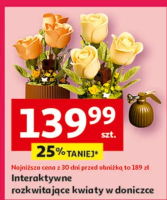 Interaktywne rozkwitające kwiaty w doniczce promocja w Auchan