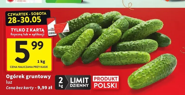Ogórek gruntowy luz polski promocja w Intermarche