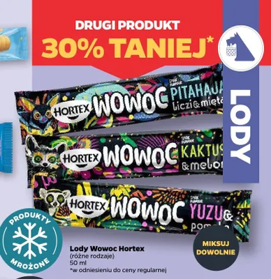 Lody Wowoc liczi i mięta Hortex promocja w Netto