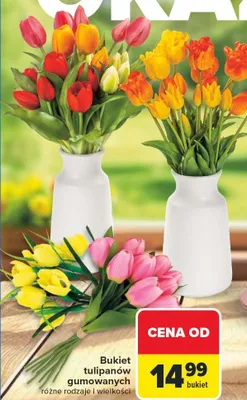 Bukiet tulipanów gumowanych różne rodzaje i wielkości promocja w Carrefour