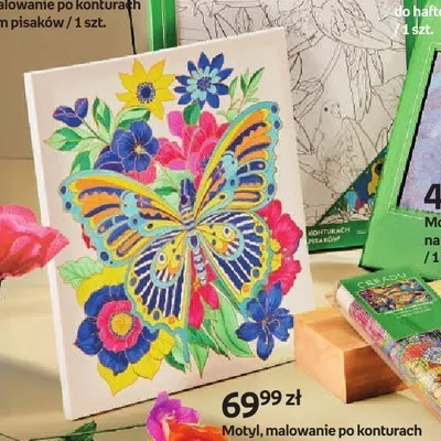 Malowanie po konturach Motyl z zestawem pisaków Creadu promocja w Empik