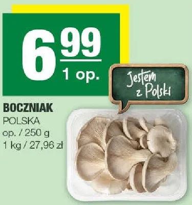 Boczniaki promocja w SPAR