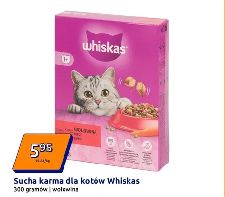 Sucha karma dla kotów wołowina 300 g promocja w Action