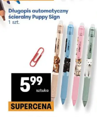 Długopis automatyczny ścieralny Puppy Sign promocja w Delikatesy Centrum