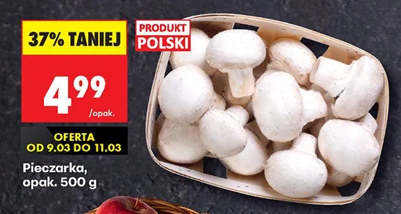 Pieczarka promocja w Biedronka