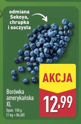 Borówka amerykańska XL promocja w Aldi